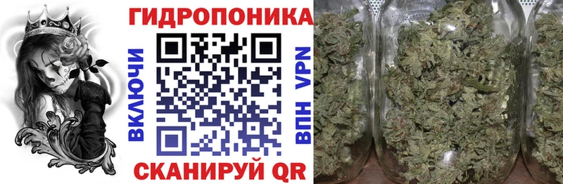 Цена Зеленоградск Канабис  Альфа ПВП  ГАШИШ  MDMA  Cocaine  Мефедрон  АМФЕТАМИН 
