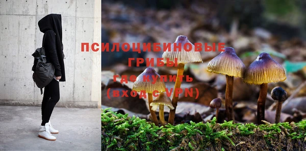 герыч Медногорск