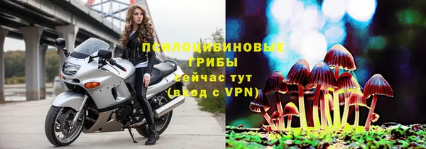 таблы Мегион
